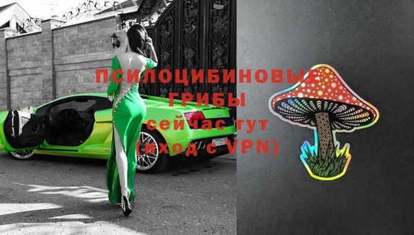 спайс Инта