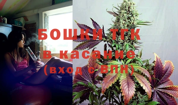спайс Инта