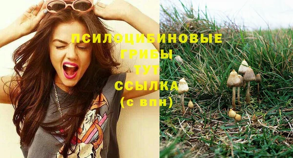 спайс Инта