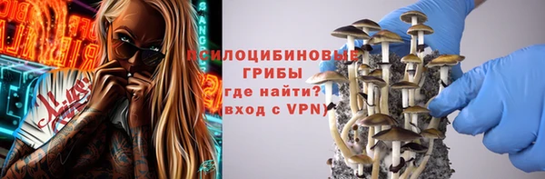 спайс Инта