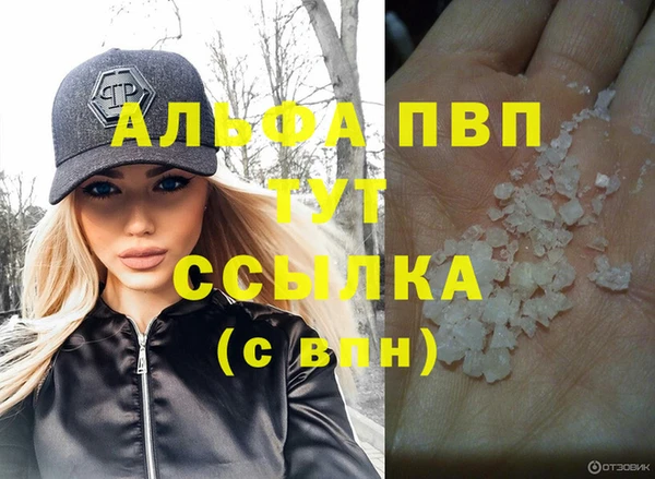 спайс Инта