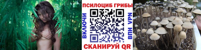 Купить где  Янаул  Галлюциногенные грибы Magic Shrooms 